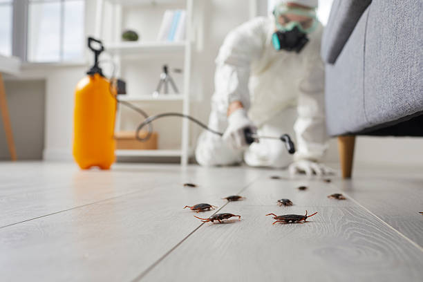 Commercial Kitchen Cockroach Control in Nice